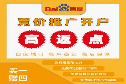 案例分享：SEM推广助力电商快速崛起